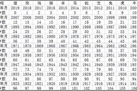 1982 屬|1982 年出生属什么生肖